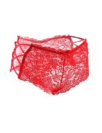 Floral Lace High Waist Sexy Panty by My Secret Drawer® mysecretdrawer.com.au 76